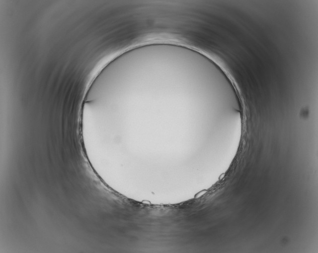 X0000115080815200912081210