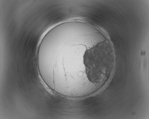 X0000115080816200912081210