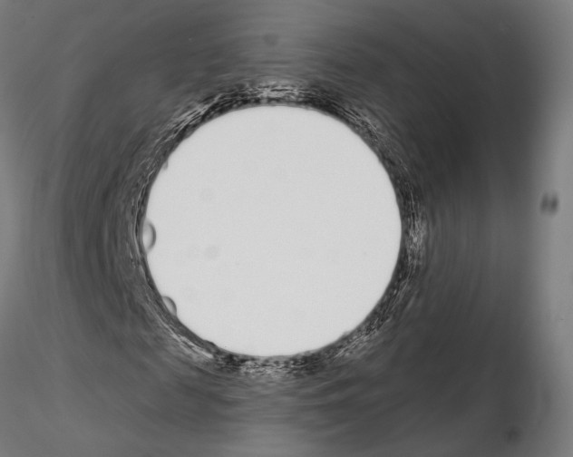 X0000115080817200912081209