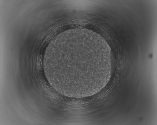 X0000115080818200912081209