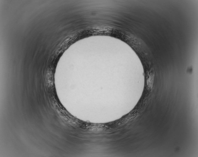 X0000115080819200912081209