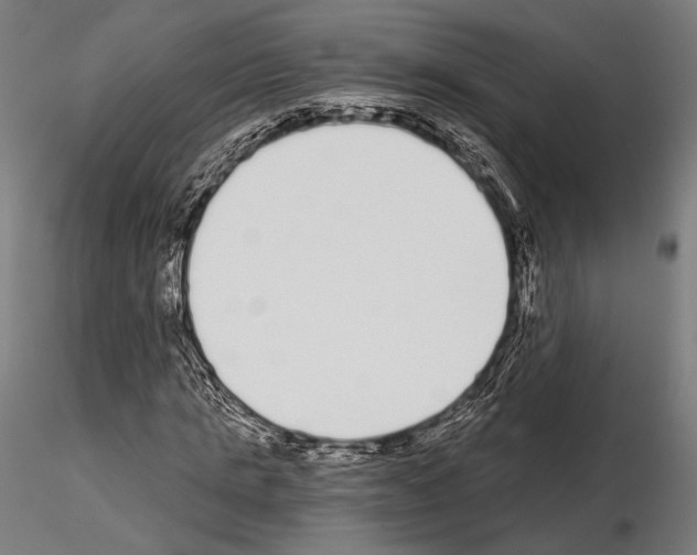 X0000115080821200912081209