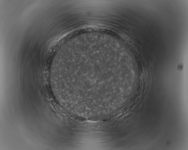 X0000115080822200912081209