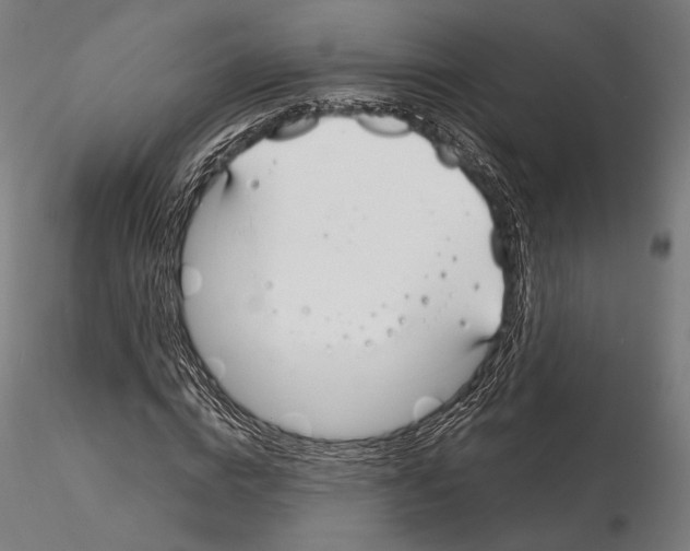 X0000115080824200912081209