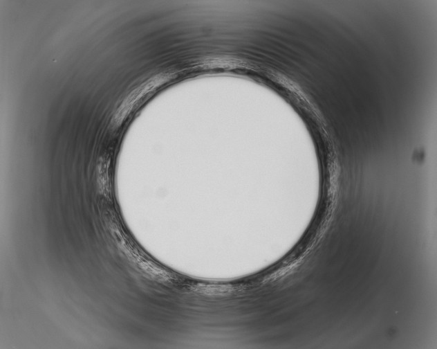 X0000115080825200912081209