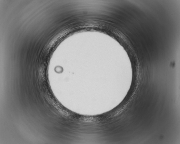 X0000115080826200912081209