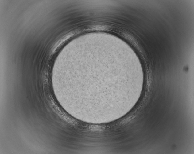 X0000115080827200912081209