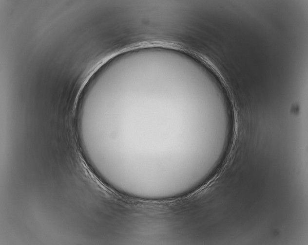 X0000115080828200912081209