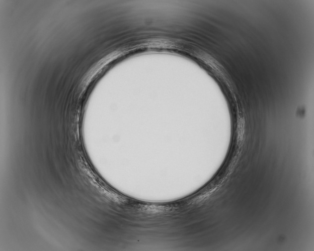 X0000115080829200912081209