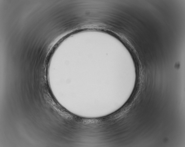 X0000115080830200912081209