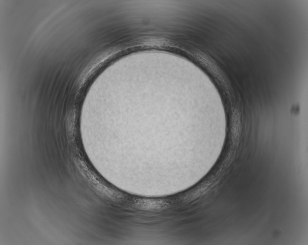 X0000115080831200912081209