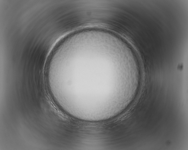 X0000115080832200912081209