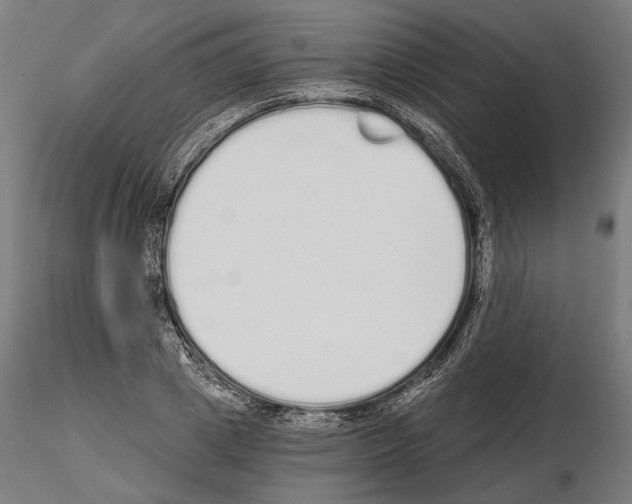 X0000115080833200912081209