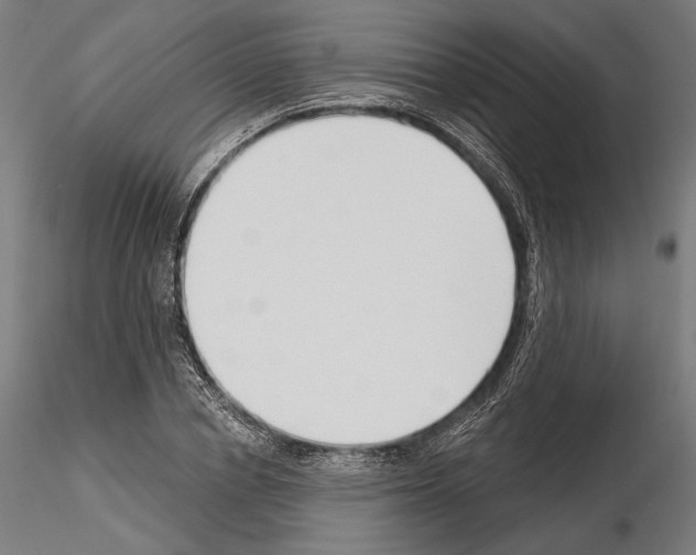 X0000115080834200912081209