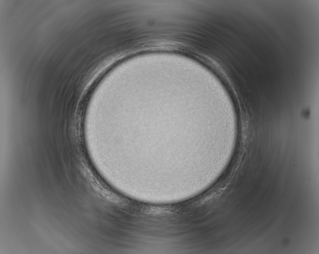 X0000115080835200912081209