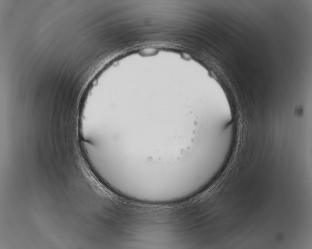 X0000115080836200912081209