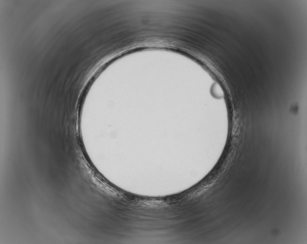 X0000115080837200912081209