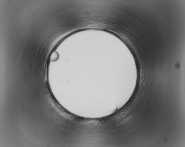 X0000115080838200912081209