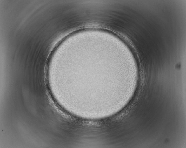 X0000115080839200912081209