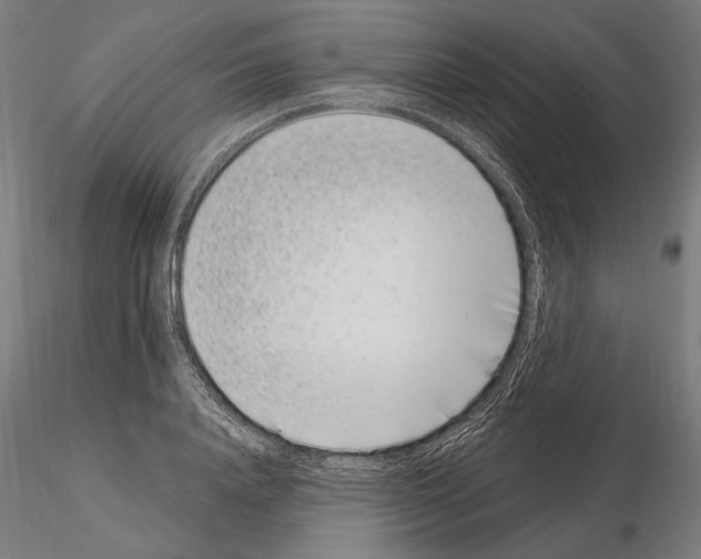 X0000115080840200912081209