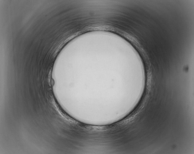 X0000115080841200912081209