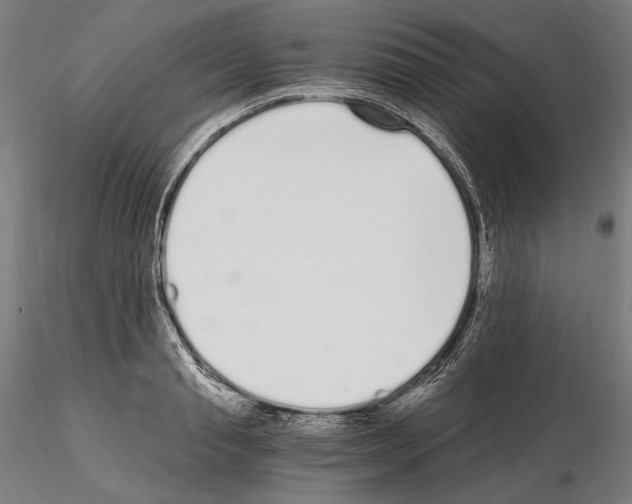 X0000115080845200912081209