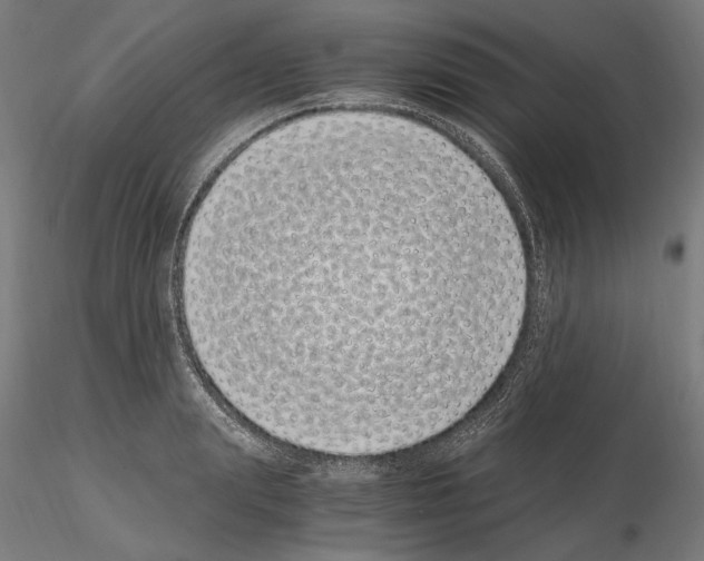 X0000115080847200912081209