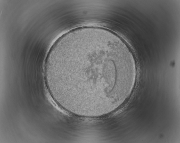 X0000115080848200912081209