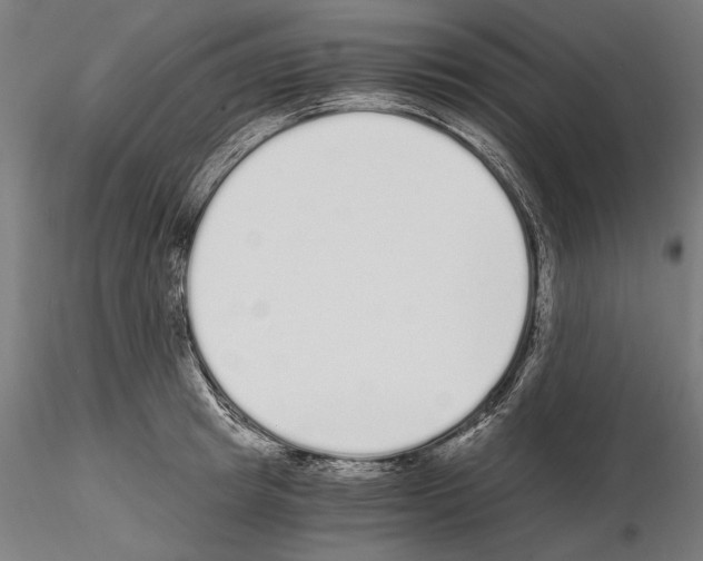 X0000115080849200912081209