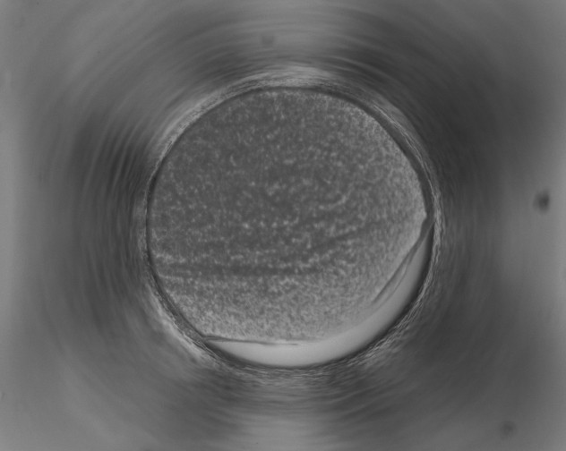 X0000115080850200912081209