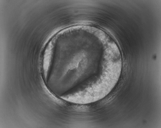 X0000115080851200912081209