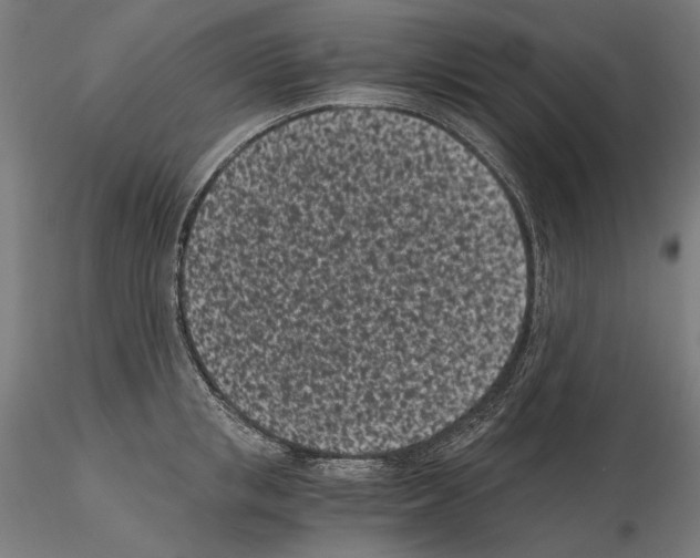 X0000115080853200912081209