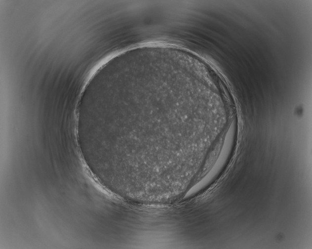 X0000115080854200912081209