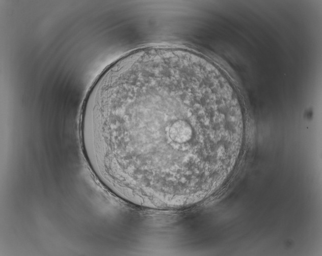 X0000115080856200912081209