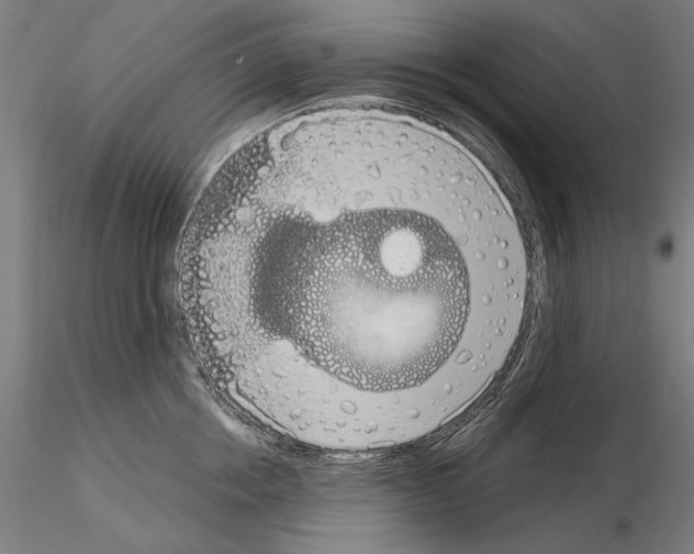 X0000115080858200912081210