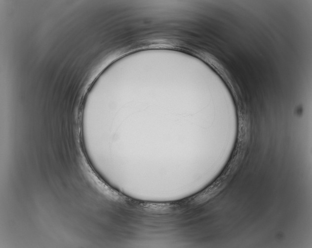 X0000115080859200912081210