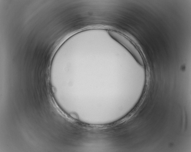 X0000115080860200912081210