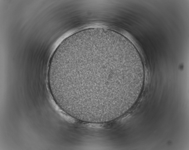 X0000115080861200912081210