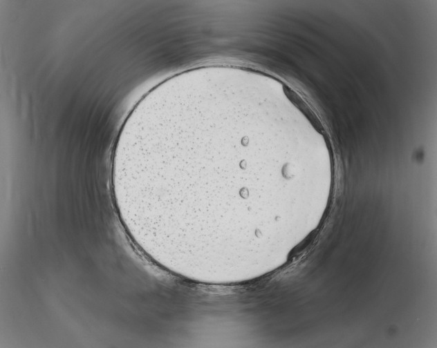 X0000115080862200912081210