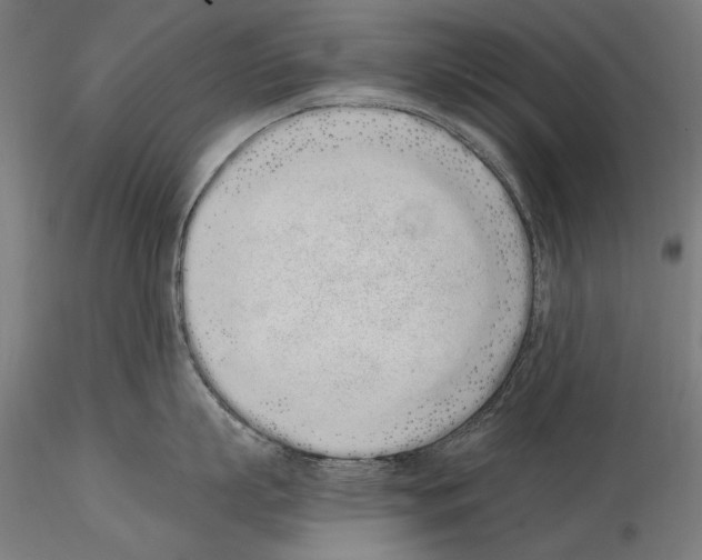 X0000115080863200912081210