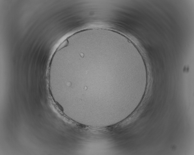 X0000115080864200912081210