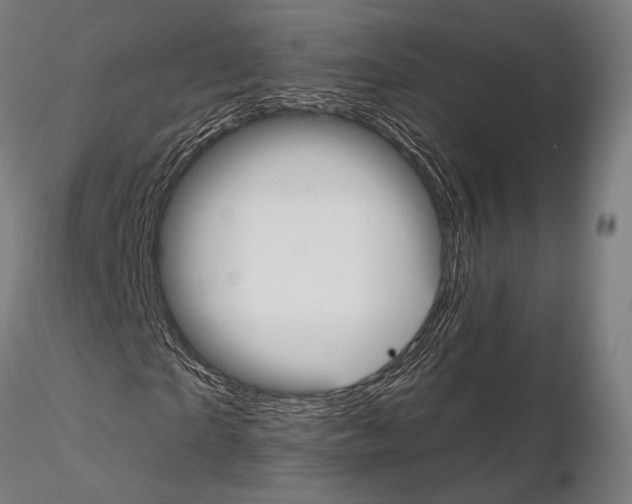 X0000115080865200912081209