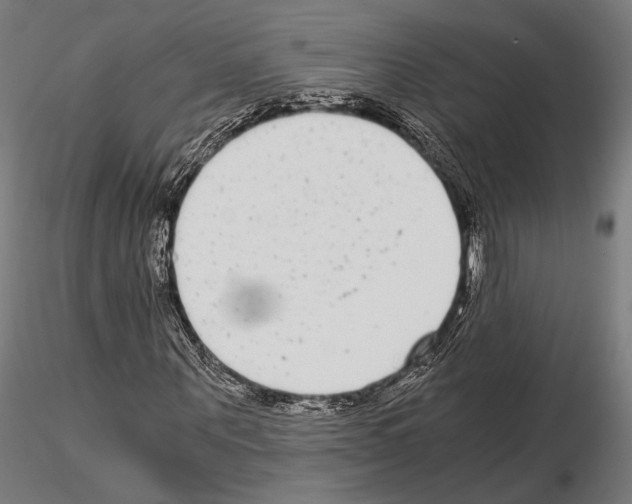 X0000115080867200912081209