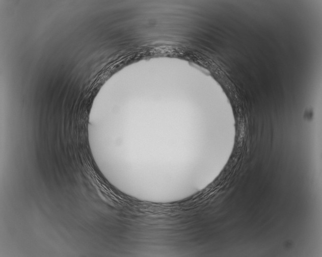 X0000115080868200912081209