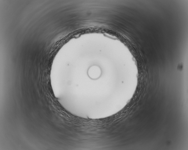 X0000115080869200912081209