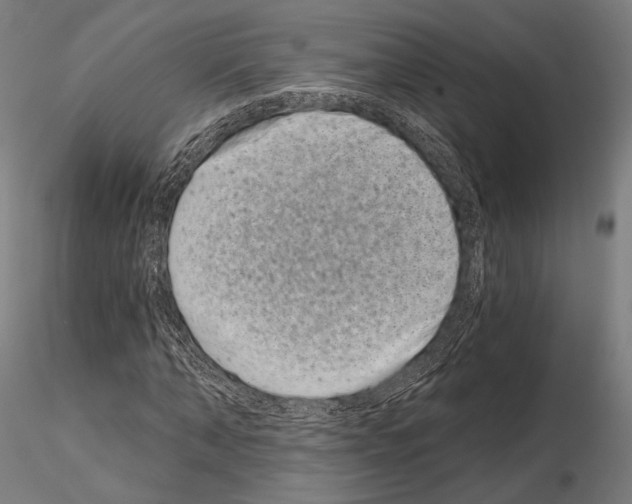 X0000115080870200912081209