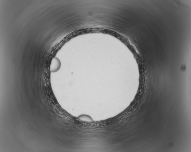 X0000115080871200912081209