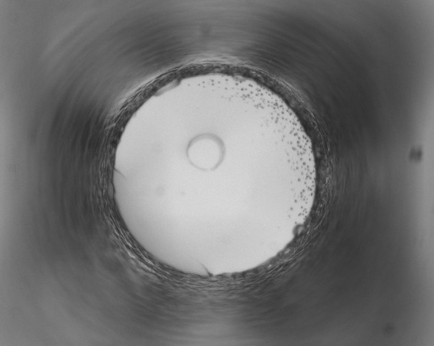 X0000115080872200912081209