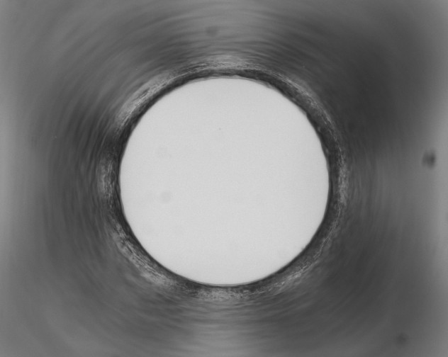 X0000115080873200912081209