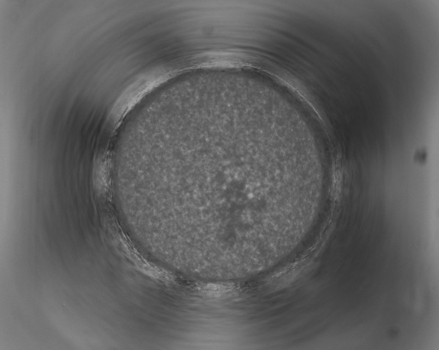 X0000115080874200912081209